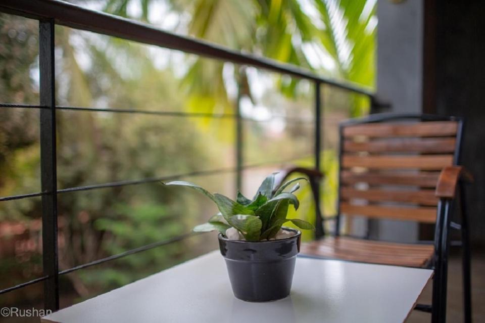 סיאם ריפ Apsara Greenland Boutique Villa & Resort מראה חיצוני תמונה